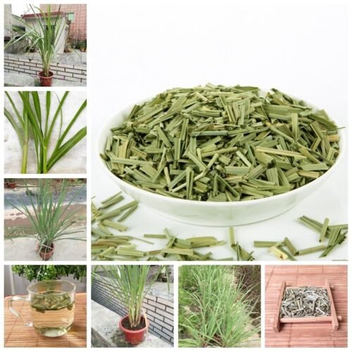 SelfLine Presents: Premium Lemon Grass Herb Seeds for Your Garden - Image 3