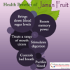 SelfLine | Black Plum | Jamun Fruit Seeds - Image 6