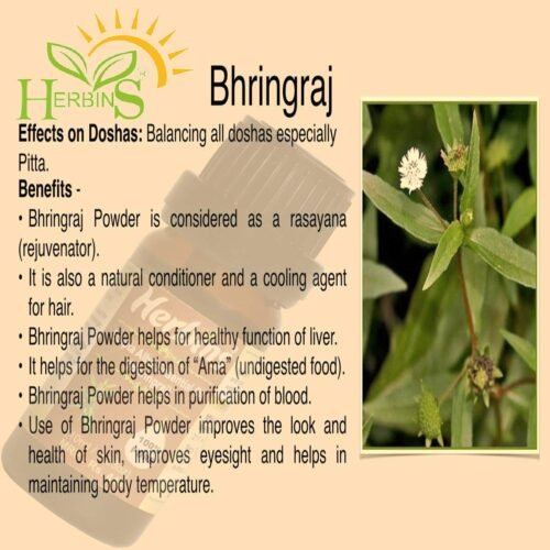 SelfLine Bhringraj - Eclipta alba - Bhangra White Flower Medicinal Herb Live Plant: Nurture Nature's Healing Powe - Image 5