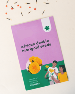 Seeds