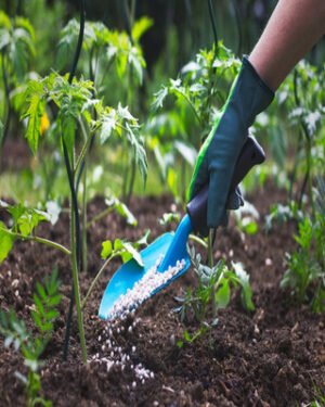 Soils & Fertilizer