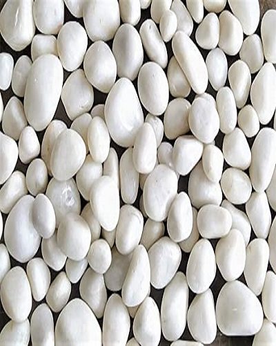 SelfLine | White Elegance: Small Plant Decorative Pebbles