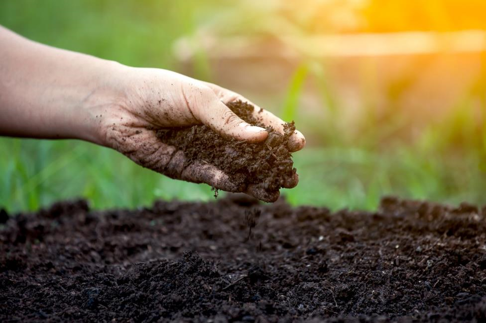 SelfLine | "Boost Your Garden with 0.5 Kg of Premium Processed Organic Poultry Manure – Natural Fertilizer