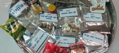 Premium Havan Samagri Kit with Aam Ki Lakdi, Navgrah Wood, Cow Ghee, Ganga Jal & 20+ Ritual Essentials - Image 8