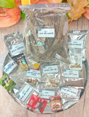 Havan Samagri Kit